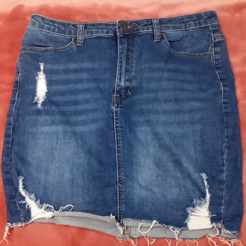 Fashion Nova Skirt